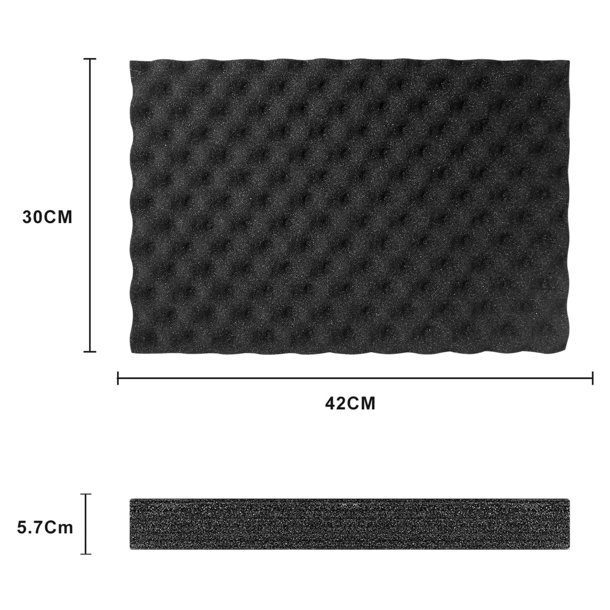 Phenyx Pro Medium Size Carrying Case Detial - Inside